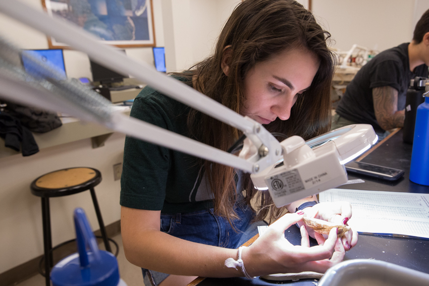 For Alexandra Blanchet, a Marine Science graduate, this was her third year counting spat for this project.