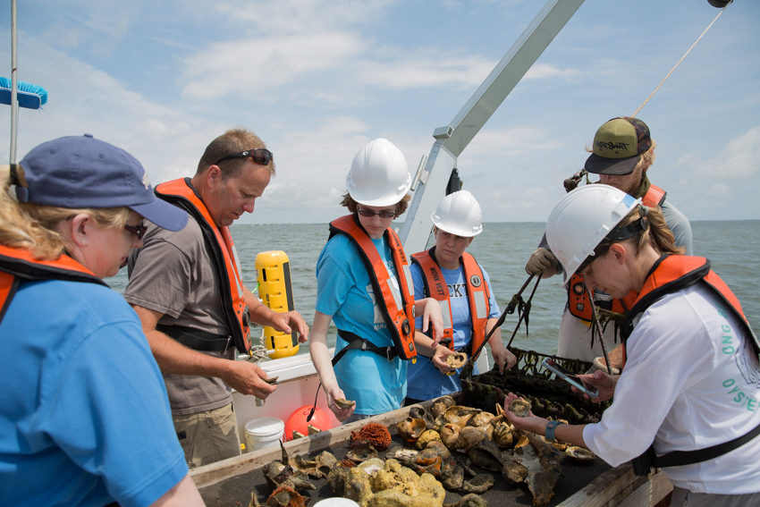 oyster reef