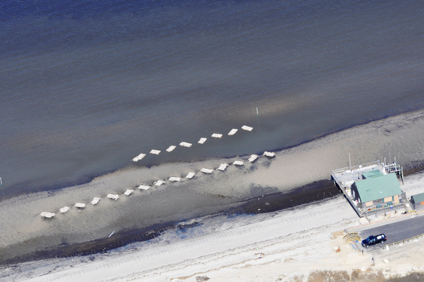 Oyster Reef Credit Ted Williams