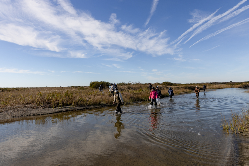 walking down a tidal channel