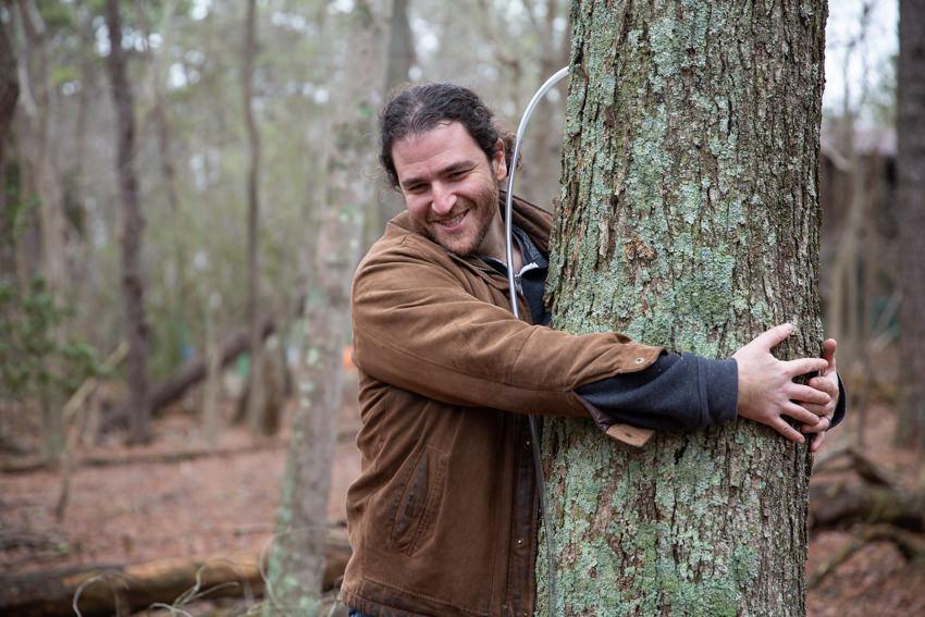 tree diameter test