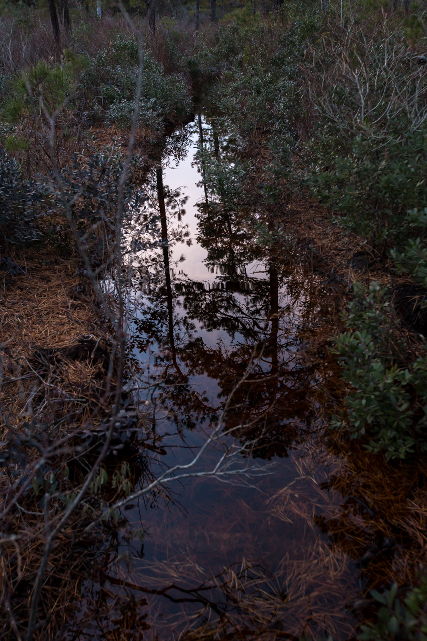 sunset reflecting in water