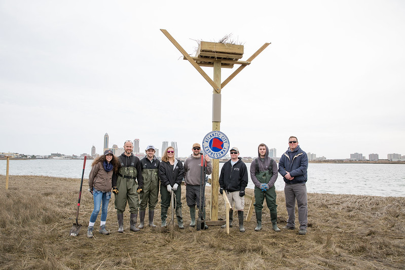 Installing osprey platform
