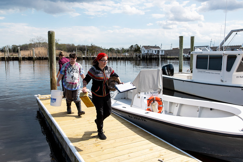 fish survey