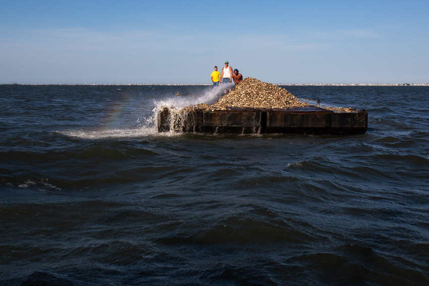 Tuckerton Reef