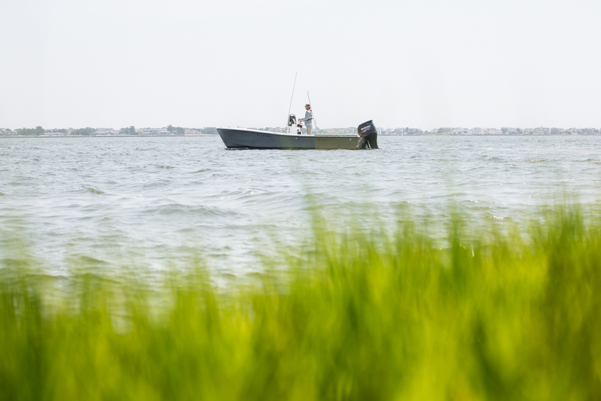 Seagrass Study