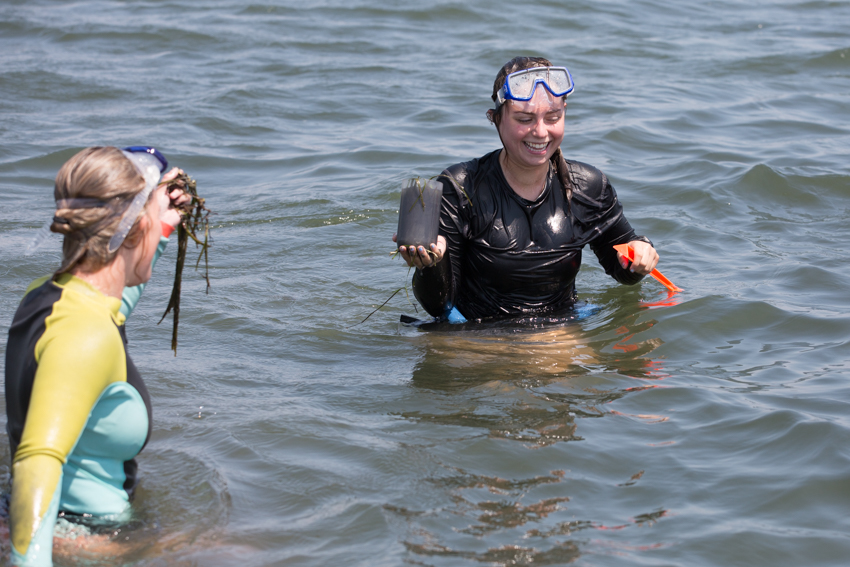 Seagrass Study