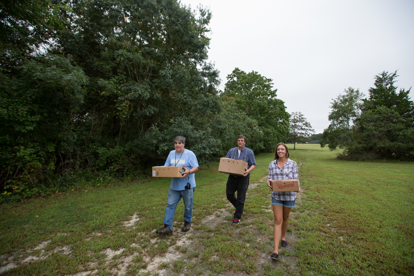 walking terrapins to saltmarsh