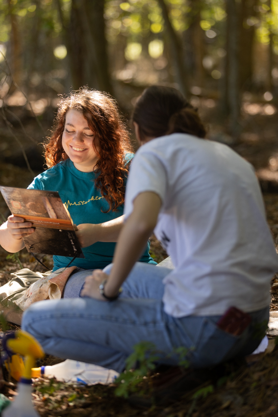 sophia bradach studies soil