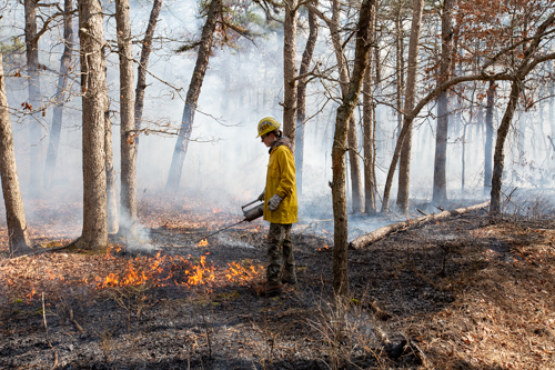 controlled burn