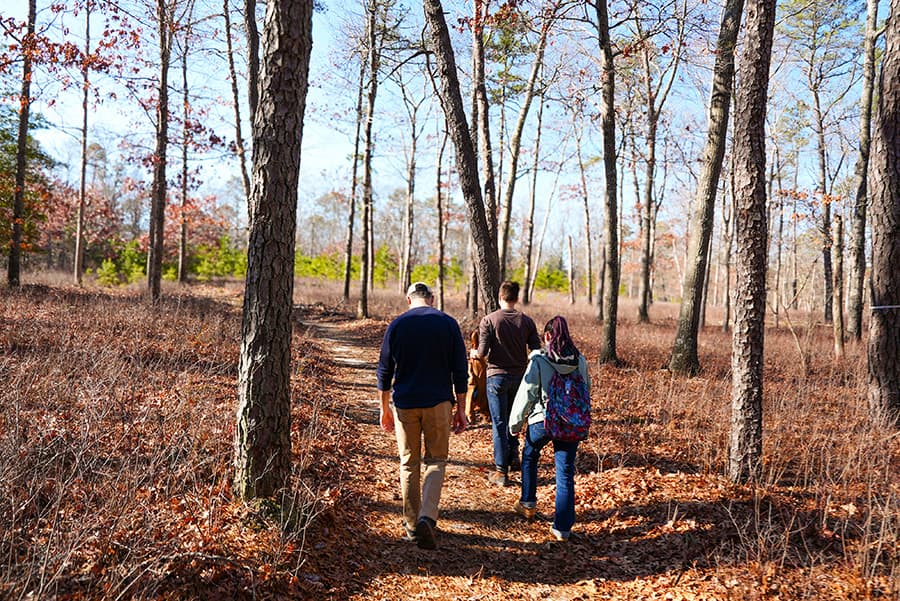 Matthew Olson, Harry Dallmer and Kayla Mathes walking in the woods