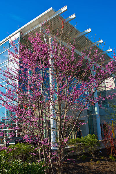 Campus Center Outside