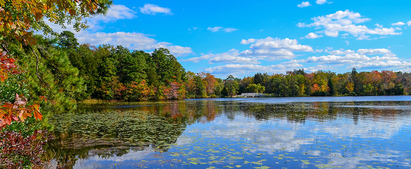 Lake Fred
