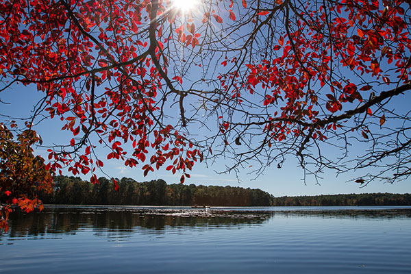Lake Fred