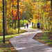 autumn pathway