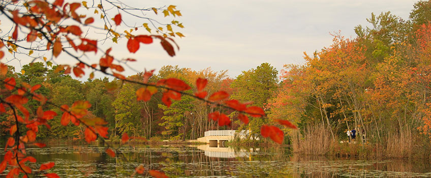 lake fred