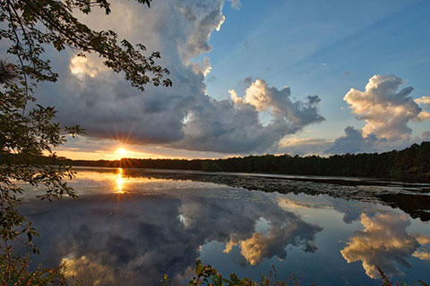 Lake Fred