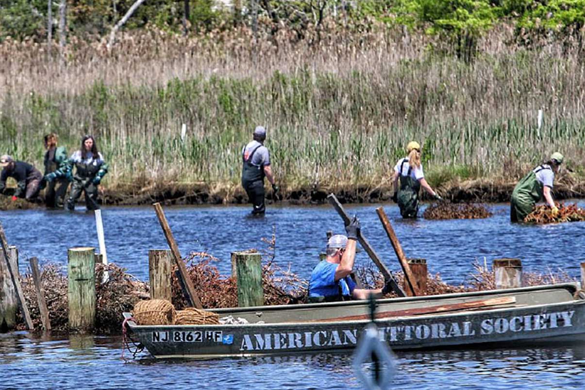 Image of volunteers helping American Littoral Society