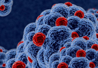 Image of virus