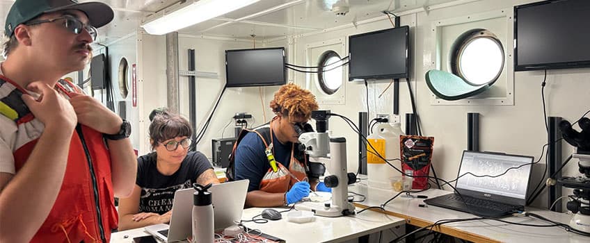 The two Marine Science majors joined junior Hannah Elliott, of Bridgewater, and Stockton Assistant Professor of Biology Lauren Seyler as part of the Peerside program at the Florida Institute of Oceanography in St. Petersburg, Florida.