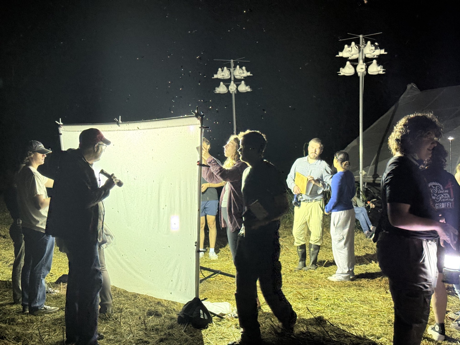 Drawing moths to the light