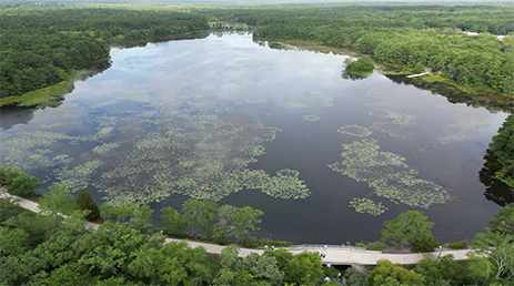 Drone image of Lake Fred