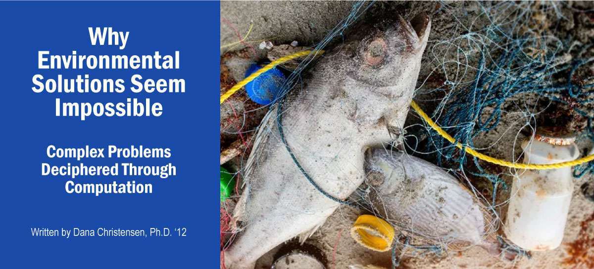 Dead fish stuck in plastic pollution