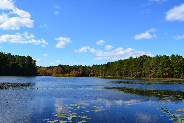 Lake Fred