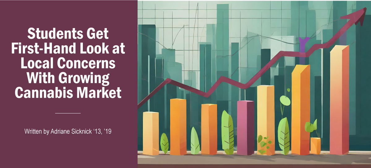 Growth in Cannabis Industry