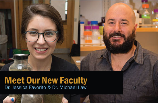 Meet Our Faculty!