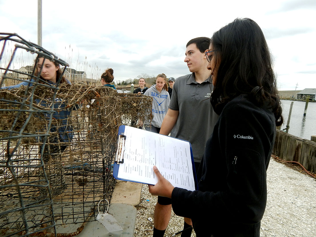 Image of Stockton University Marine Field Station technician David Ambrose recording data from recovered ghost trap