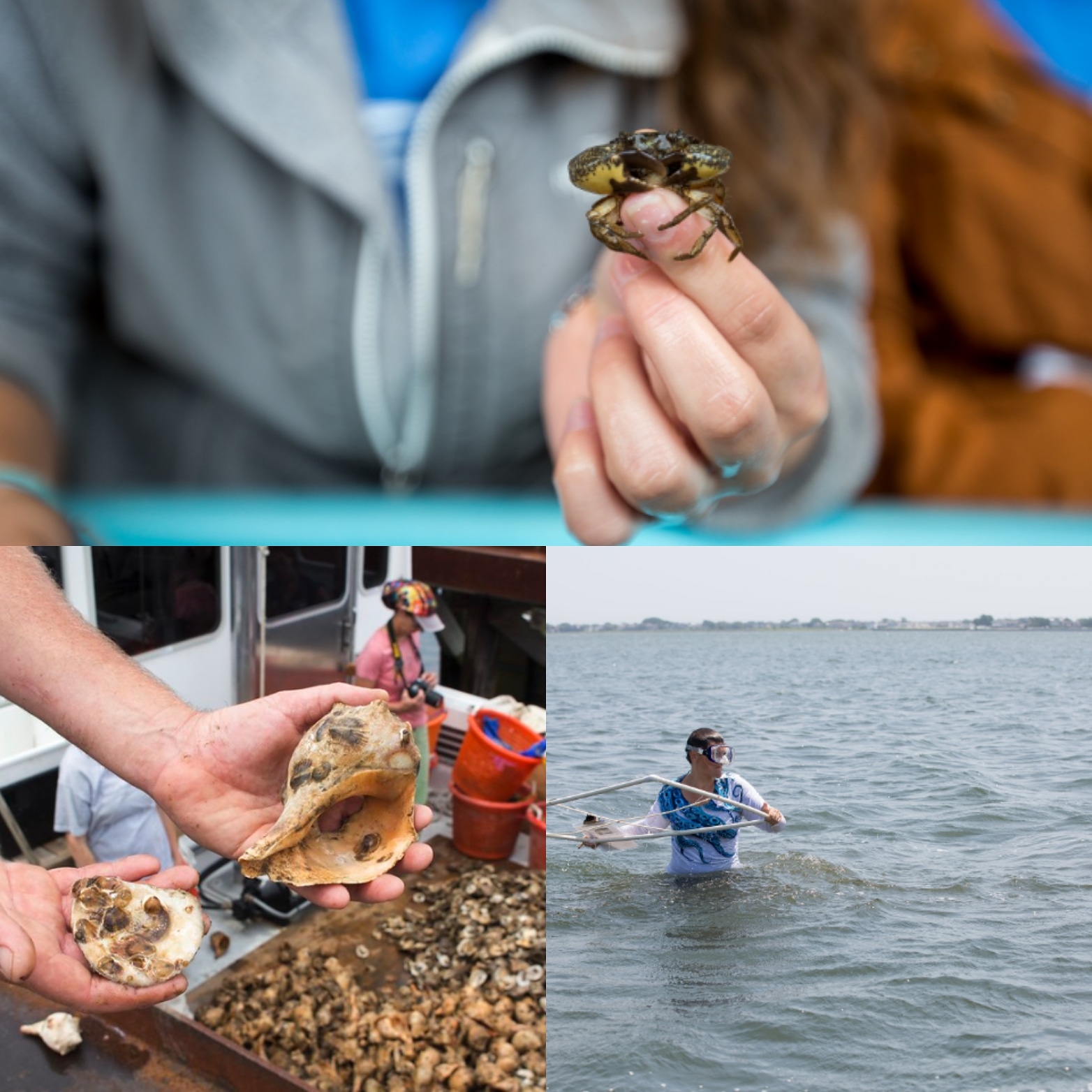 Image of marine science program events