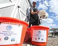 Bringing Back Barnegat Bay with Old Oyster Shells