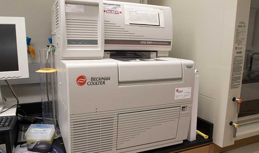 Image of Beckman CEQ8000XL Automated DNA Sequencer