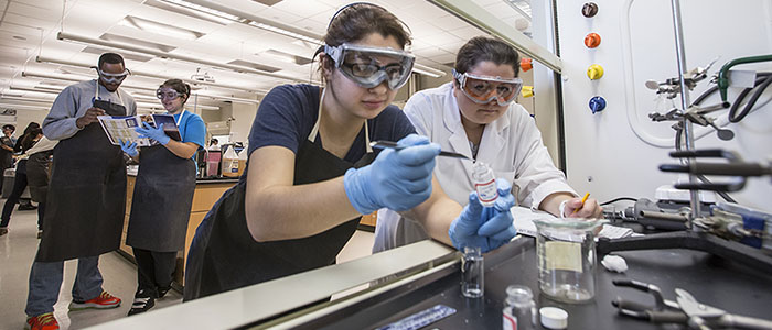 Dr. Pam Cohn and student in the chemistry lab fume hood
