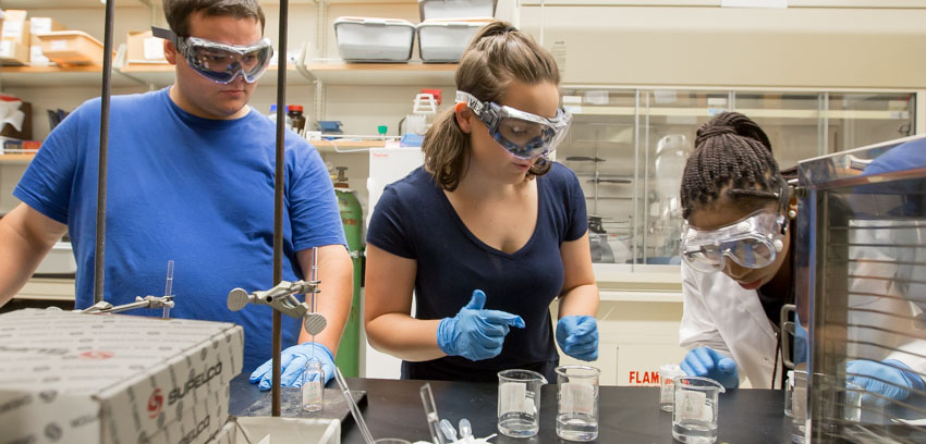 Image of student researchers conducting research