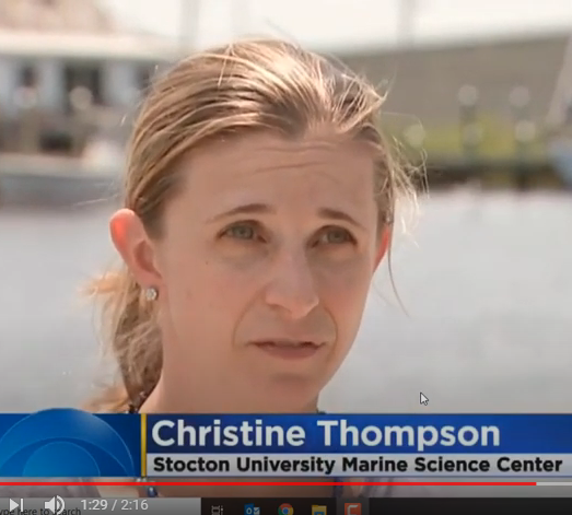 Image of Christine Thompson