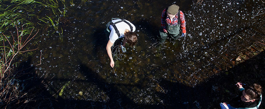 Environmental Sciences students take water samples