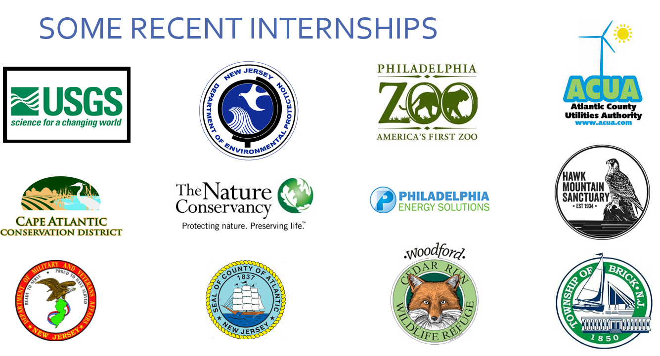 Internship logos