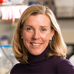 Dr. Amanda Norvell