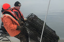 Image of Marine Field Station Employees retrieving equipment