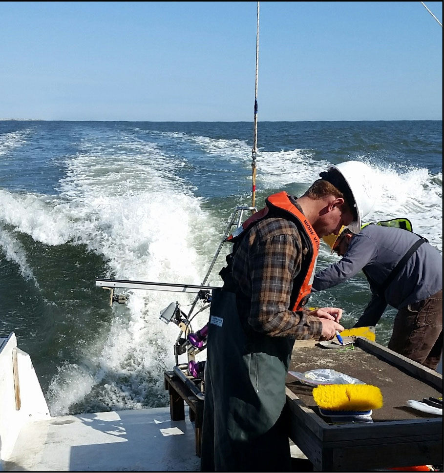 Image of Marine Science Student Mark Pfander