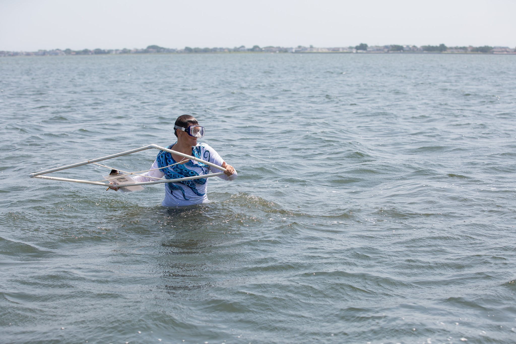 Dr. Lacey seagrass monitoring on Barnegat Bay