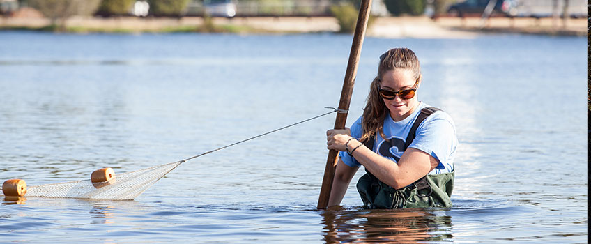 Student seining