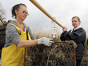 Crab Traps Pull from River