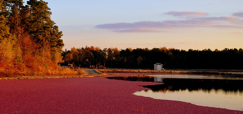 Image of Whitesbog, New Jersey