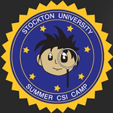 CSI Summer Camp