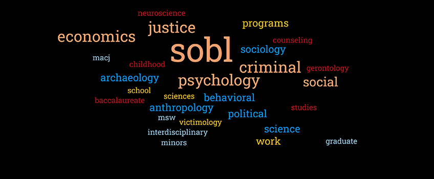 SOBL Programs