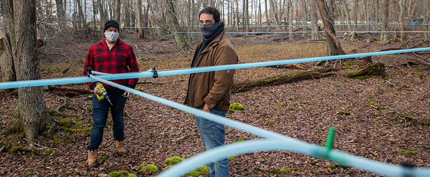 Maple Sugaring Begins at Stockton 