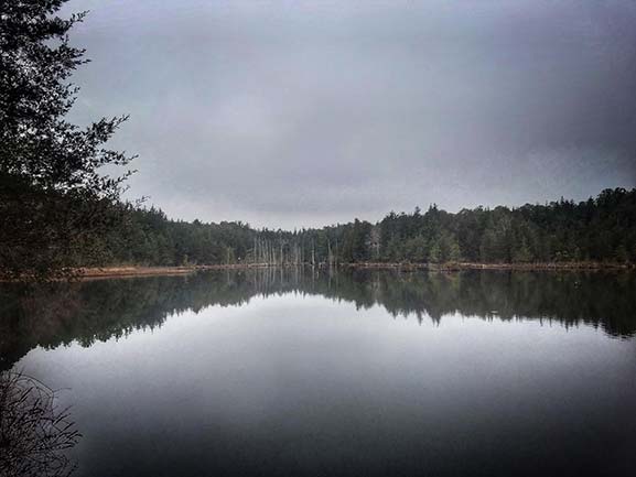 lake with pinetrees relfected in it